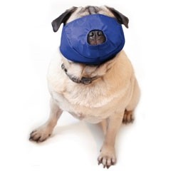 muzzle