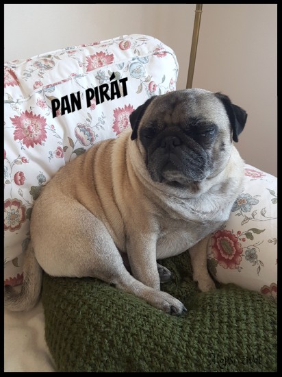 pirt