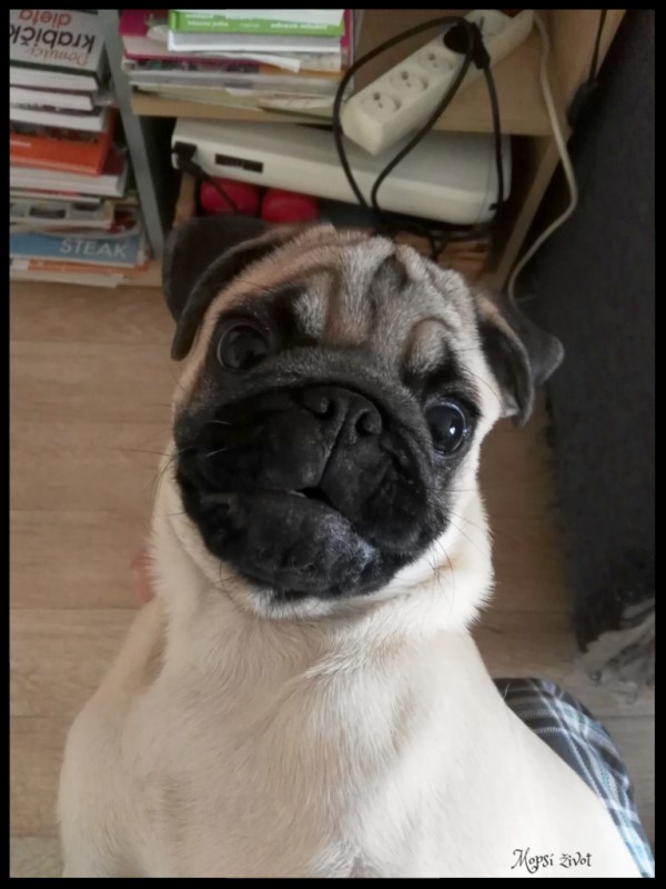 lump